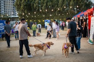 From Guard Dog to Family: Inside Ahmedabad’s ₹34,000 Cr pet care boom 