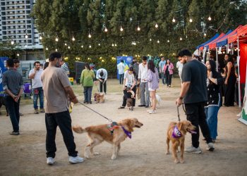 From Guard Dog to Family: Inside Ahmedabad’s ₹34,000 Cr pet care boom 