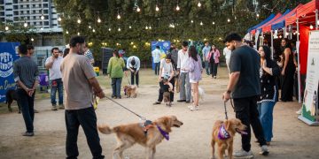 From Guard Dog to Family: Inside Ahmedabad’s ₹34,000 Cr pet care boom