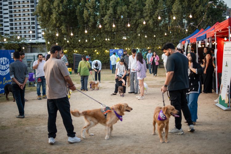 From Guard Dog to Family: Inside Ahmedabad’s ₹34,000 Cr pet care boom