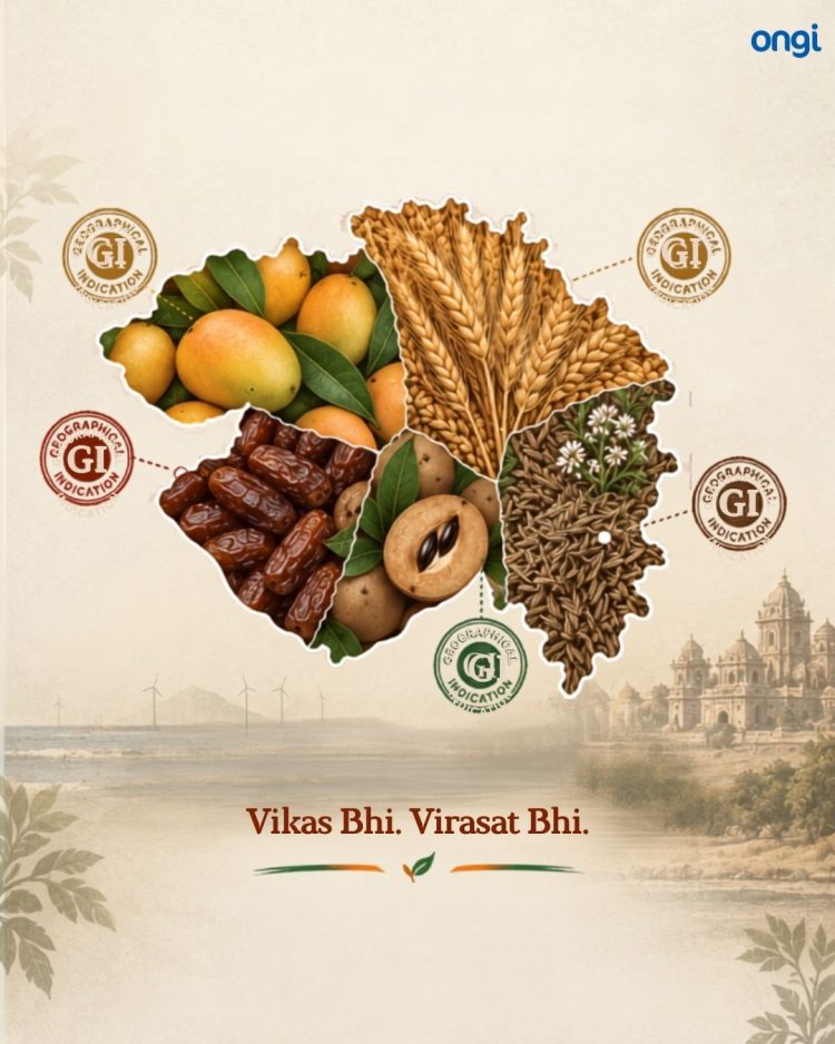 Gujarat v/s Maharashtra: the ₹2,000-Cr fight over ‘ownership’ of Hapus